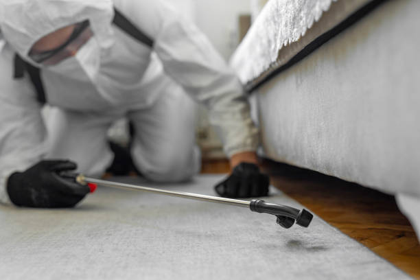 Professional Bed Bug Control technician working in Woodville, MS