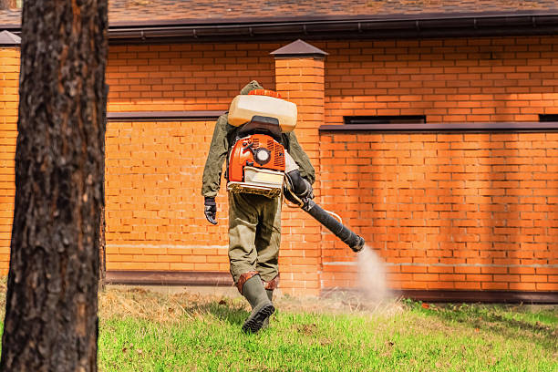 Trusted Bed Bug Control service in Woodville, MS - Nex Pest Control